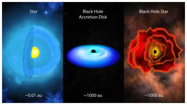 What Is a Black Hole Star? How JWST Rewrites Early Universe Physics black hole star found