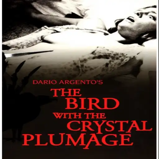 Dario Argento's explosive directorial debut