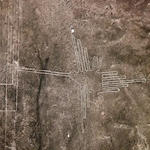 famous Nazca Hummingbird