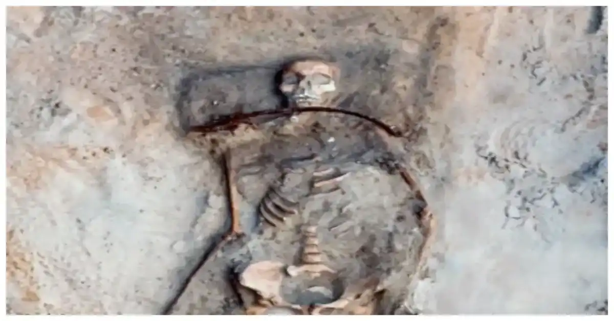 Prosopagnosia: Causes, Symptoms, and Diagnosis Guide Poland’s 400-Year-Old ‘Vampire’ Grave: Forensics & Rituals