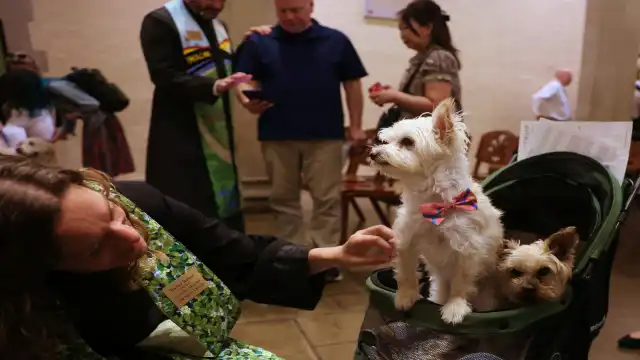 Blessing of the Animals service