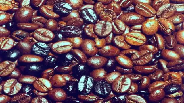 Arabica vs Robusta Coffee: Taste, Caffeine & Chemistry Coffea canephora