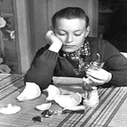 15 Documented Poltergeist Cases and What Really Happened Seaford Poltergeist
