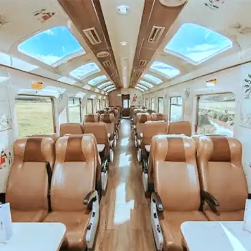 PeruRail Vistadome vs Expedition: Which Train Is Best? Expedition train interior seating