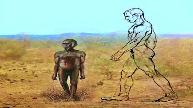 Homo floresiensis