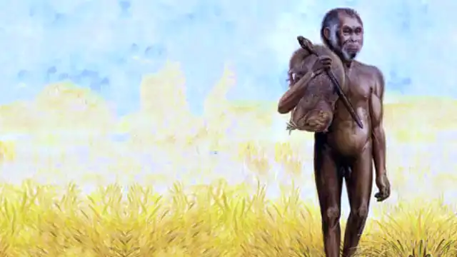 Flores Hominins: Discovery