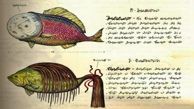 Codex Seraphinianus Explained: Meaning, Mystery & Hidden Ideas Codex is a Surrealist