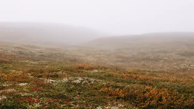 Ithaqua: The Wind-Walking Wendigo Haunting, Fiercest Storms foggy tundra