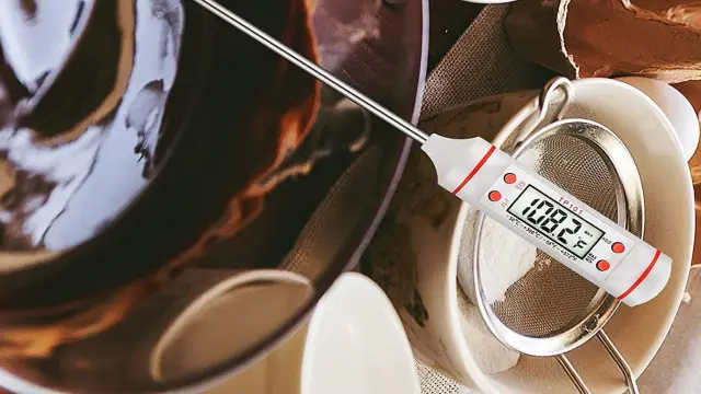 8 Thanksgiving Health & Safety Tips Every Host Should Know food thermometer